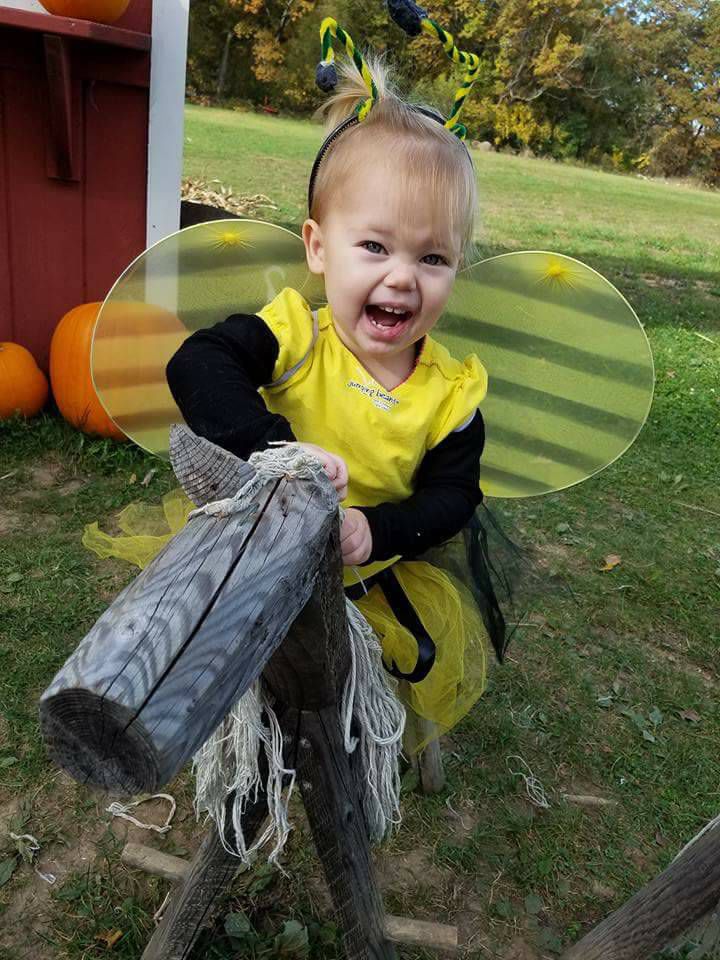 Buzzing bee, submitted by Dana Martin